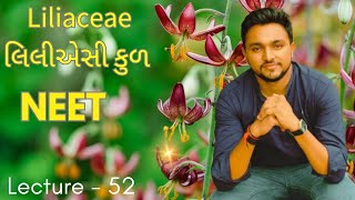 Liliaceae Family  લિલીએસી કુળ  Morphology Of Flowering Plants  NEET  Vijaysir [upl. by Halima]