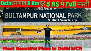 Sultanpur National Park Gurugram Haryana  Sultanpur Bird Sanctuary Gurgaon [upl. by Watson]