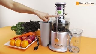 Breville JE98XL Juice Fountain Plus 850Watt Juice Extractor Review [upl. by Leicam]