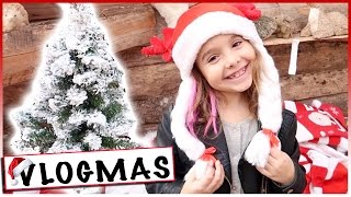 VLOGMAS 4  A la recherche de notre Sapin de Noël  Dimanche en famille [upl. by Ainival]