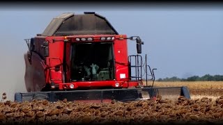 Case IH 8010 Puma 225CVX JD 6920 8330  INTRO [upl. by Camille]