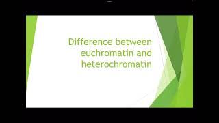 Difference between euchromatin and heterochromatin [upl. by Mahmoud]