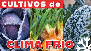 Qué sembrar en Otoño en la huerta 8 cultivos de clima frio [upl. by Einafit]