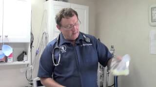 Pet Surgery Spay and Neuter Full Service Pinellas County Animal Hospital 7277339395 [upl. by Hailat]