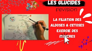 🔥 Révision la filiation des Aldoses amp Cétoses isomères avec des exemples et exercice BIOCHIMIE [upl. by Bernie]