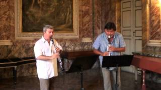 G Rossini Sonata III for two clarinets M Mangani  Sergio Bosi amp Corrado Giuffredi [upl. by Bolanger527]