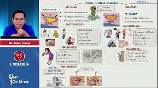 RM 2024 Urología 2 Incontinencia Urinaria esfuerzo urgencia Urolitiasis [upl. by Clementis]