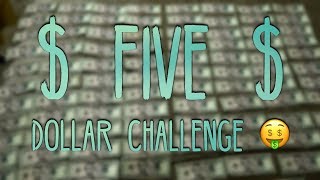 THE FIVE DOLLAR CHALLENGE  result [upl. by Ennovaj]