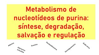 Metabolismo de purinas síntese degradação via de salvação e regulação [upl. by Ailemak733]