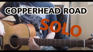 Steve Earle  Copperhead Road Solo  Acoustic Guitar [upl. by Yniffit]