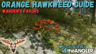 Wardens Favors Orange Hawkweed Guide [upl. by Urban637]