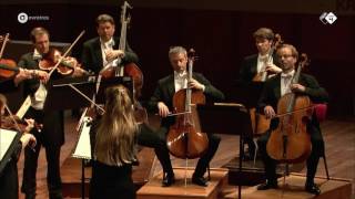 Elgar Serenade for Strings  Concertgebouw Chamber Orchestra  Live concert HD [upl. by Cirilo]