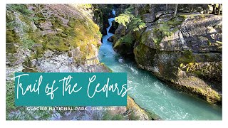 Trail of the Cedars  The most beautiful hike at Glacier National Park [upl. by Granville775]