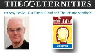 Our Pineal Gland and The Infinite Mindfield [upl. by Liam320]