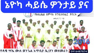 ዳዌ ሣኬ ሙሉ ወንጌል መዘመራን 1 Album ኔዮካ ሐይሴ ዎንታይ ያና Wolaita Protestant song 2016 ዓም ⩣ Yeee Tube [upl. by Itsirk]