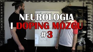 Barbell Brothers Neurologia i Doping Mózgu 3  Acetylocholina  Podstawy [upl. by Kate]