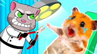 Oh No Crazy Doctor Check Up For Hamster  Cartoon By Hamster Toons [upl. by Gerbold]