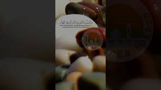 likeandshare subscribenow follow followme fyp viral viralvideos اكسبلور quran muslim [upl. by Annoeik]