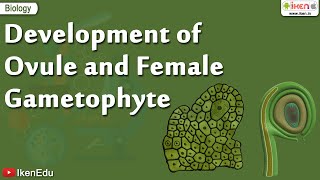 Biology Of Plants  Learn About Ovule and Gametophyte  iKen  iKen Edu  iKen App [upl. by Cosme960]