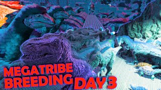 Setting Up Our Megatribe Breeding On Day 3  Wiu Wiu  ARK Ascended Official PvP [upl. by Nitsuga]