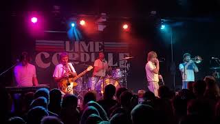 Lime Cordiale  No Plans To Make Plans live amsterdam bar stpaul minnesota downunder aussies [upl. by Esiuol]