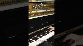 Hear Acoustic Piano Resonance on Your Roland Digital Piano Roland digitalpiano protips [upl. by Fritze335]