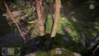 The Elder Scrolls VI  Valenwood Gameplay [upl. by Alol]