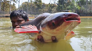 Worlds Best Cast Net Fishing In Pond fish bigfish fishing [upl. by Ytte]