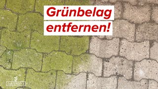 Grünbelag entfernen von Steinen und Co  Unser FAZIT zum Mellerud Algen amp Grünbelagentferner [upl. by Darach2]