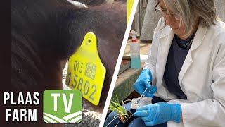 Volledige identifikasie van diere  Werksgeleenthede in landbouwetenskap Farm TV  27 Augustus 2021 [upl. by Mareld]