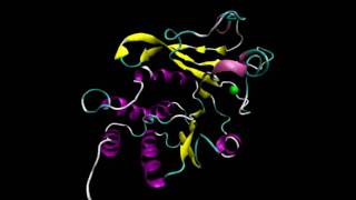 CatecholOMethyl Transferase [upl. by Nnarual]