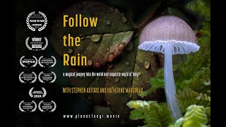 FOLLOW THE RAIN  OFFICIAL TRAILER [upl. by Daly660]