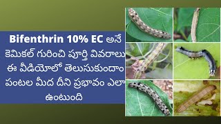 Bifenthrin Insecticide in telugu [upl. by Nedmac]