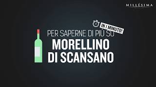 Video tutorial – DOCG MORELLINO DI SCANSANO  TOSCANA [upl. by Namajneb]