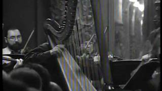 Albrechtsberger Harp concerto [upl. by Jovitta445]