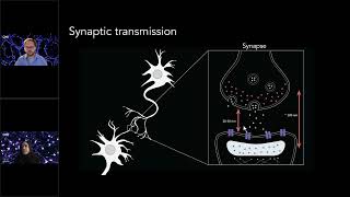 Zooming Into Synapses Tips for Using SMLM in Neuroscience Research [upl. by Eitsirc201]