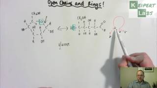 Open Chain and Ring Forms in Monosaccharides [upl. by Kally]