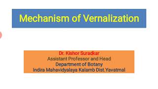 Mechanism of Vernalization Phasic development Theory Hormonal Theory NEET Biology [upl. by Oram]