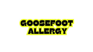 GOOSEFOOT ALLERGY [upl. by Ahsemrac]