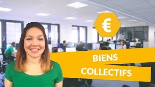 Biens collectifs  Economie  Première ES  digiSchool [upl. by Harwilll849]