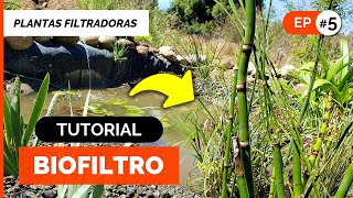 CÓMO HACER UN BIOFILTRO CASERO 💧🌱 Estanque para Tratamiento de Aguas Grises ♻️ ep5 Filtro Plantas [upl. by Astto]