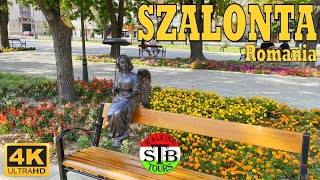 Salonta Romania 🇷🇴 2022 Summer walking in the center 20 min 4k UHD [upl. by Padriac]