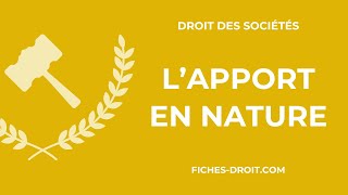 Lapport en nature définition typologie et évaluation [upl. by Eecyaj]