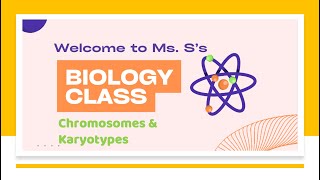 Chromosomes amp Karyotypes [upl. by Renard]