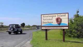 Assateague Island National Seashore Oversand Vehicle Zone [upl. by Melvin]