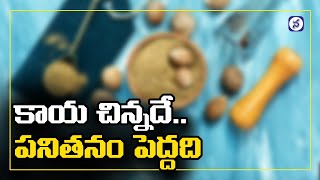 Amazing Health Beneftis of Nutmeg Jajikaya  Health Tips in Telugu  Namasthe Telangana [upl. by Nnyleimaj]