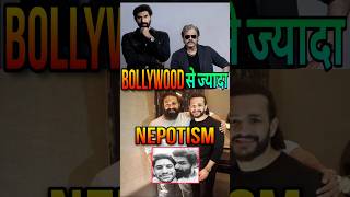 Nepo kids SuperStar  South Vs Bollywood Nepotism Difference  bollywood southmovie shorts [upl. by Ereveniug]