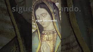 📌 12 de diciembre Historia sobre la Virgen de Guadalupe [upl. by Eirruc]