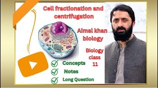 Cell fractionation and centrifugation cell structure and function Grade 11 BiologyChapter1 [upl. by Eppilihp367]