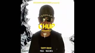 CHUP FREESTYLE  Trippymusixnagpur  Prod by Noobies  Freedom records  2k24 [upl. by Mcclish]